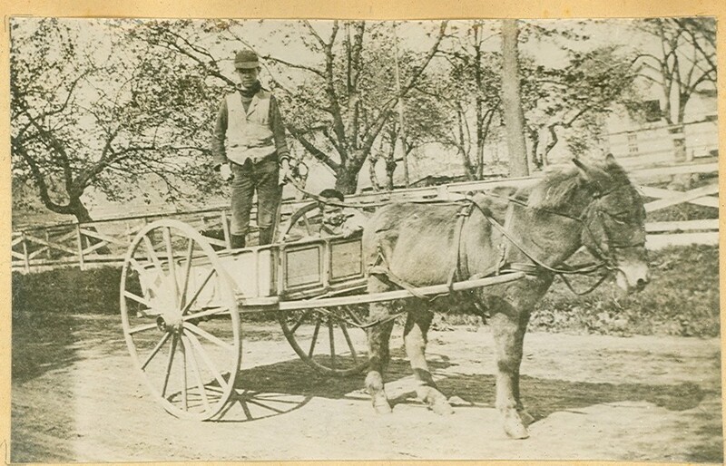 Burwell Wingood rides in a donkey cart.