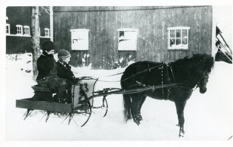 Brothers Edwin and Edgar Bartlett in horse-drawn sleigh