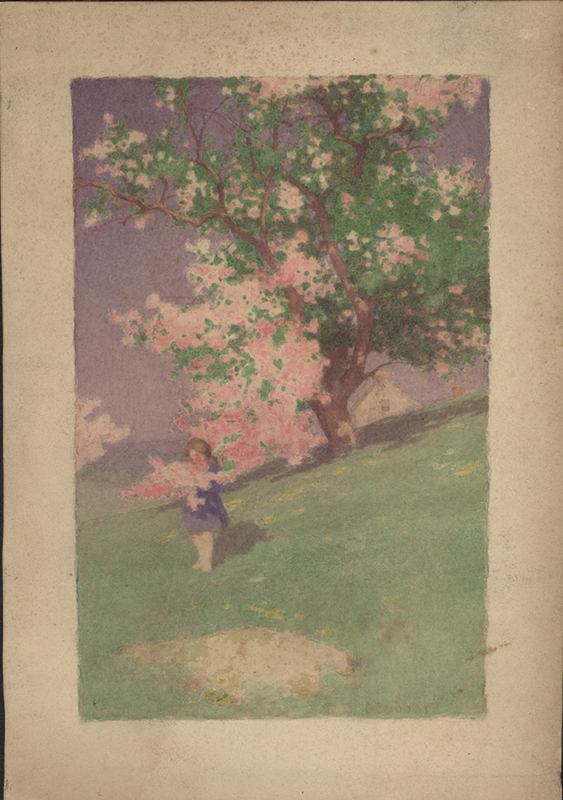 Hubbard Collection