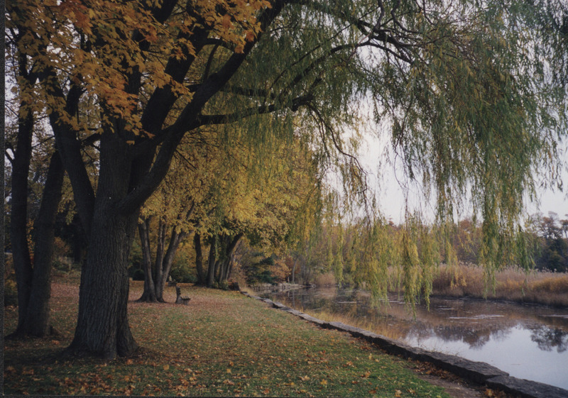 Olmsted's Outlook, West River