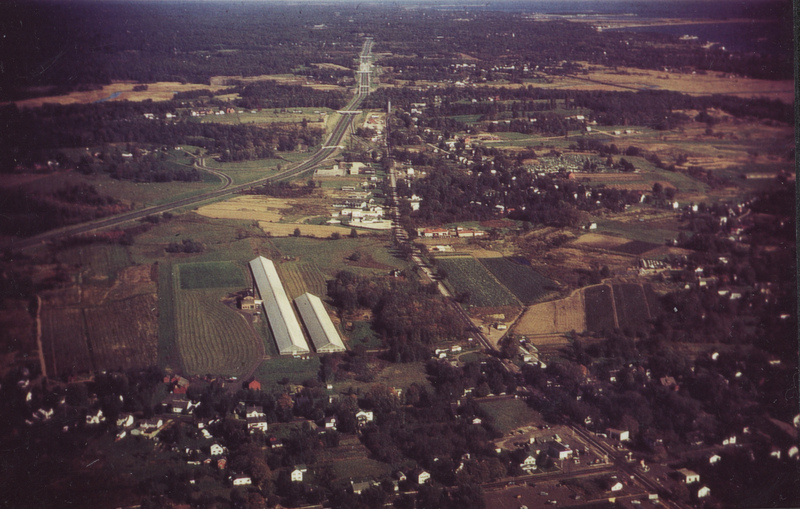 Pinchbeck Greenhouses, looking east, 1959