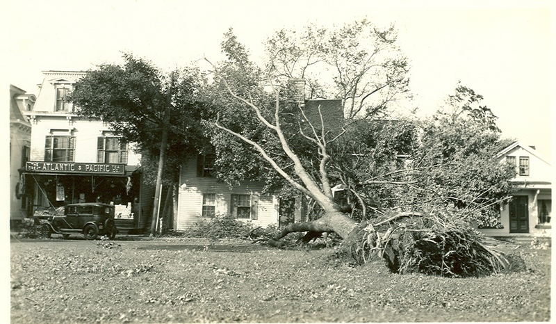 West side of Guilford Green after the Hurricane of 1938
