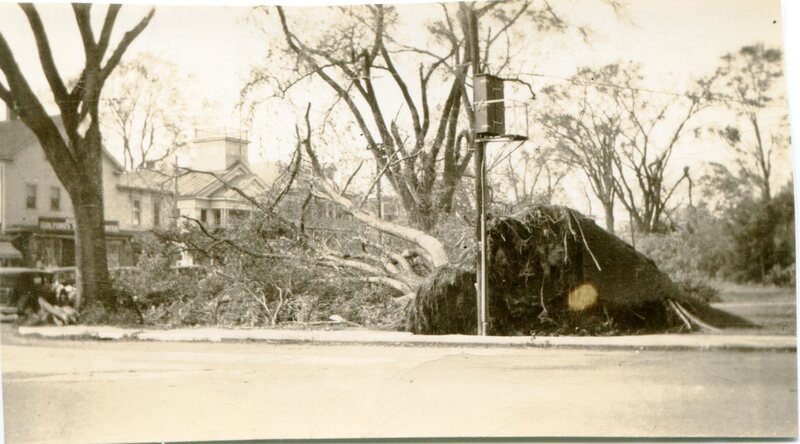 The Green after the Hurricane of 1938