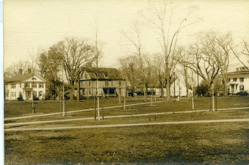 Replanting the Guilford Green after the Hurricane of 1938