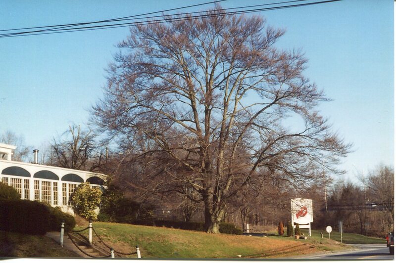 Sachem Country House Restaurant