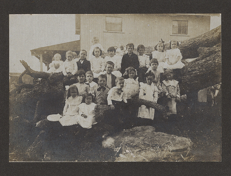Children next to felled tree
