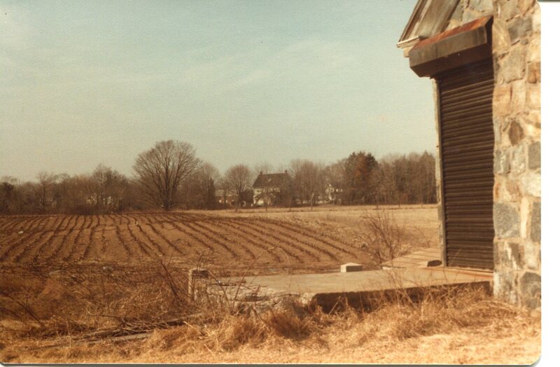 Harry B. Dudley house,245 Boston Street, March, 1982