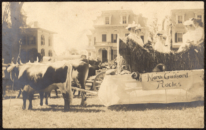 North Guilford Peaches Float Postcard