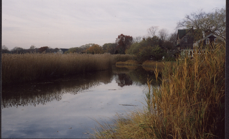 Olmsted's Outlook, West River