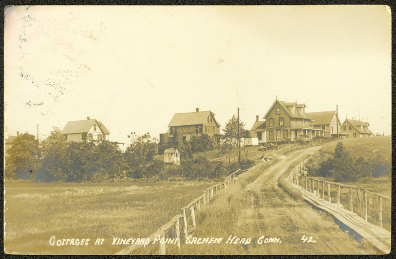 Vineyard Point Postcard