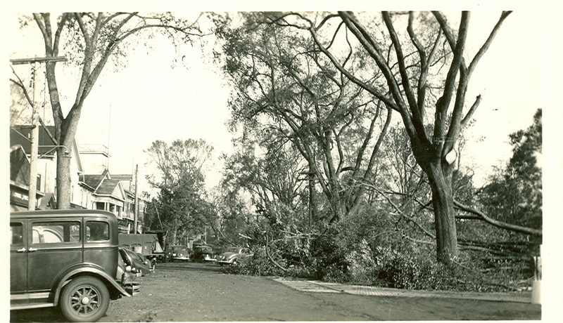 Hurricane of 1938-looking North on Whitfield Street.