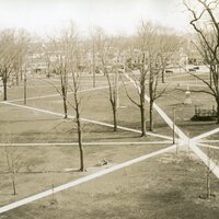 Green Looking South 10.jpg