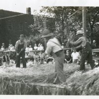 Haying.jpg