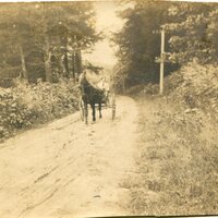 George Sperry and Horse Buggy.jpg