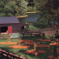 strawberryhollowfarm.jpg